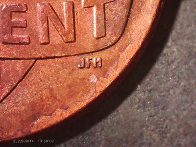 2021-P-Penny-Damage-Or-Cud-Type-Issue?